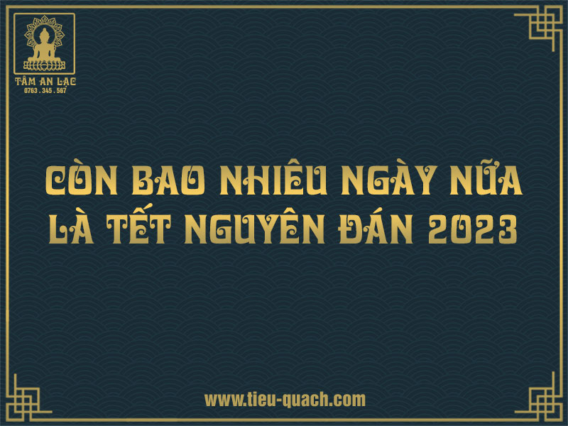 Còn bao nhiêu ngày nữa đến tết 2023?