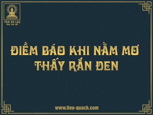 Nằm mơ thấy rắn đen đánh số nào trúng lớn?