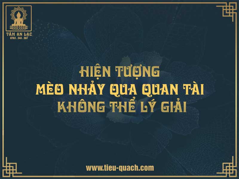 Hiện tượng mèo nhảy qua quan tài