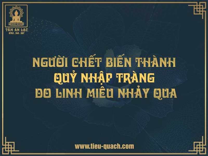 mèo nhảy qua quan tài