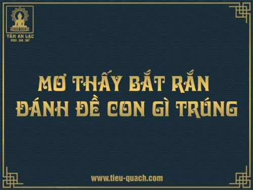 Mơ thấy bắt rắn là điềm báo lành hay dữ