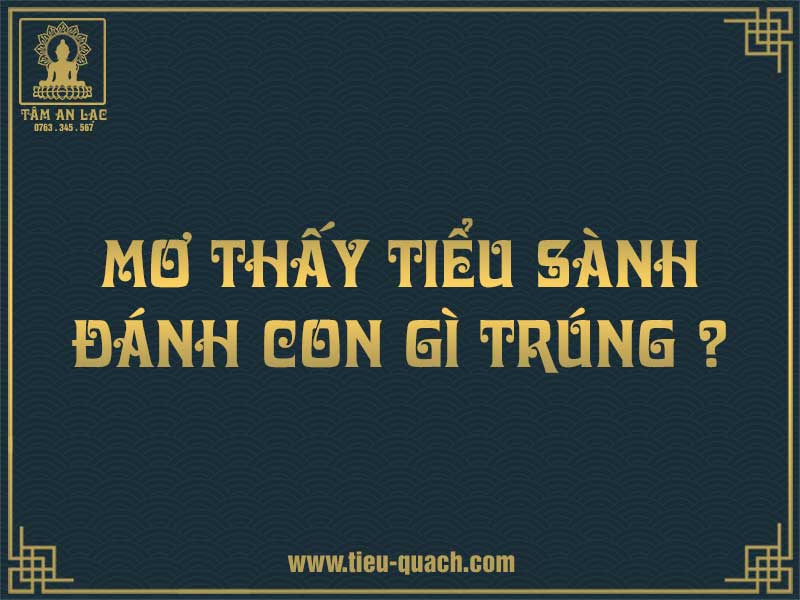 Nằm mơ thấy tiểu quách đánh con gì?