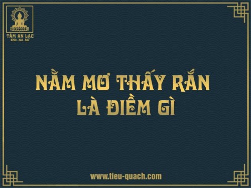 Giải mã nằm mơ thấy rắn là điềm gì?