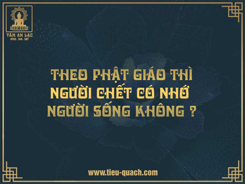 Người chết có nhớ người sống không 