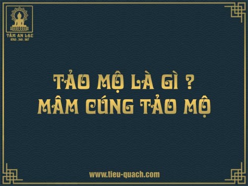 Tảo mộ là gì? Văn khấn và mâm cúng tảo mộ ngày tết