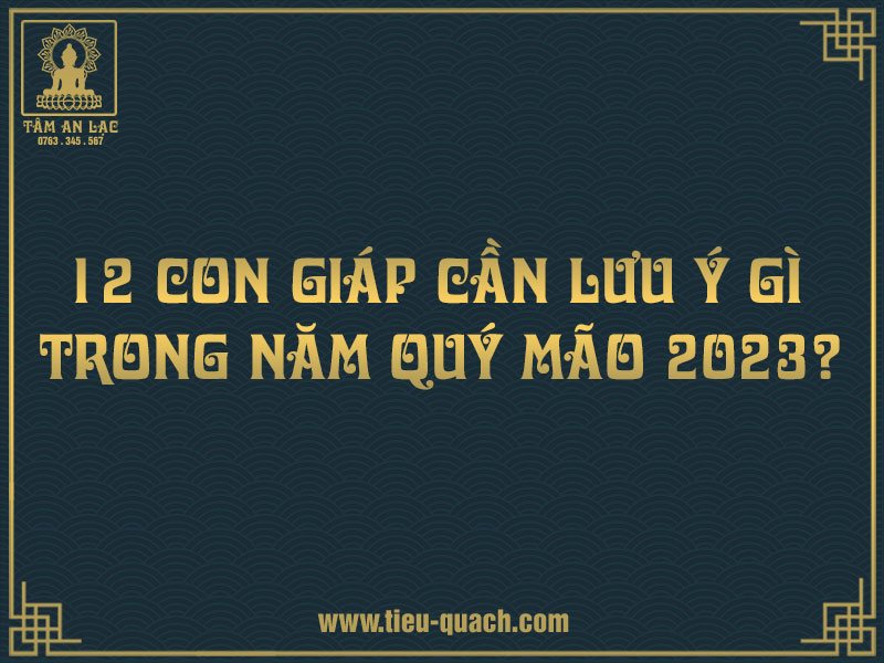 Tử vi trong năm 2023 của 12 con giáp